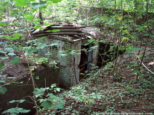 Lappersfort forest BRUGES picture 