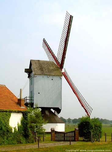 Hogewegmolen (Noorderwijk) HERENTALS / BELGI 