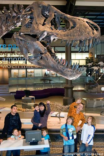 Muse des sciences naturelles BRUXELLES photo 