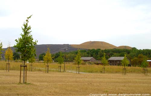 Mines Ancien Winterslag GENK photo 