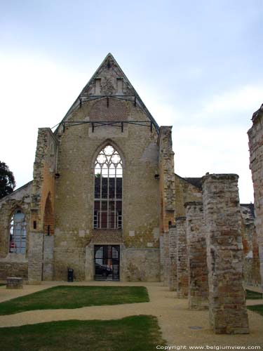 Ruins of the Beguinage Church TIENEN picture 