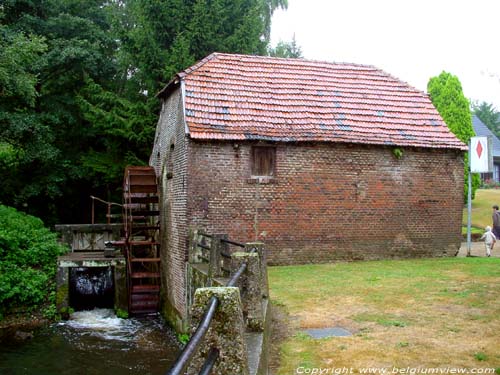 Moulin du Village (Dorpermolen) sur Bosbeek MAASEIK / BELGIQUE 