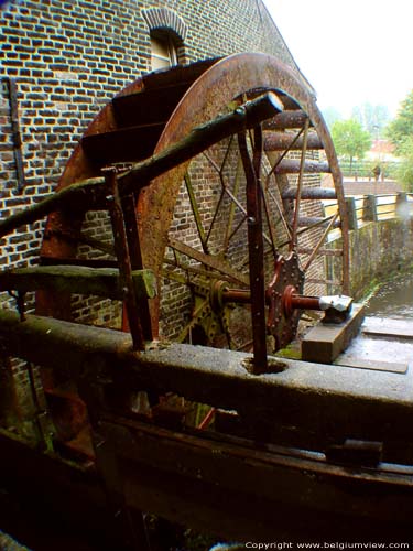 Dorpermolen op Bosbeek (Opoeteren) MAASEIK / BELGI 