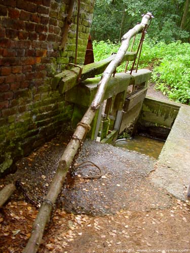 Townmill (Dorpermolen) on Bosbeek MAASEIK / BELGIUM 