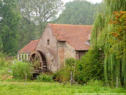 leveren Mill (Neeroeteren) MAASEIK / BELGIUM 