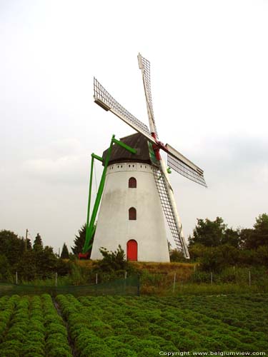 Moulin de Keijers KINROOI / BELGIQUE 