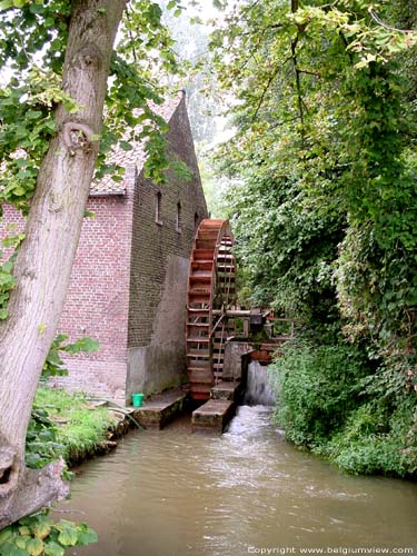 Galdermansmill in Tongerlo BREE / BELGIUM 