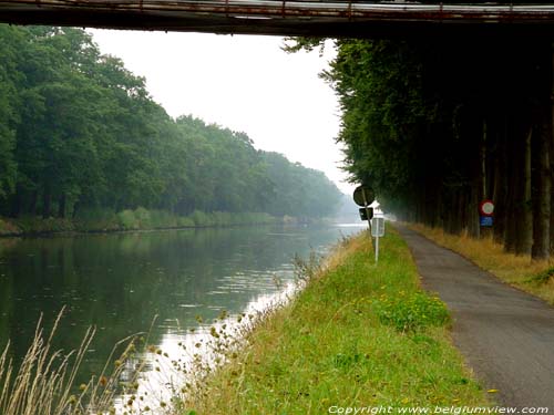 Canal Sud Willems avec chnes BREE / BELGIQUE 