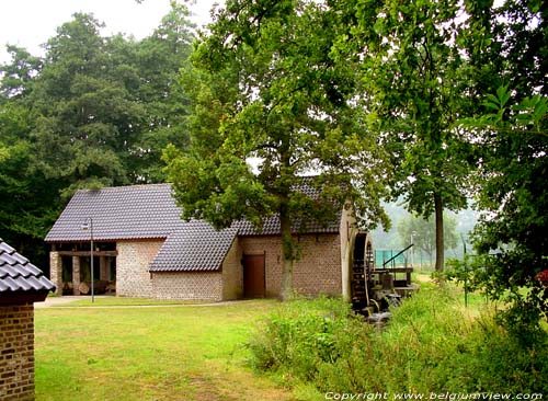Moulin de Kleeskens ou Klaaskens MAASEIK photo