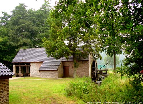 Moulin de Kleeskens ou Klaaskens MAASEIK / BELGIQUE 