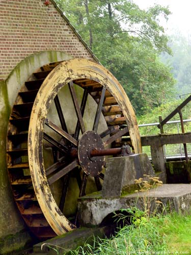 Kleeskens' Mill - Klaaskens' Mill MAASEIK picture 