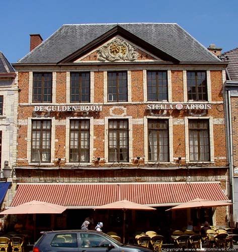 L'Arbre Dore et Le Coquelicot DIEST photo 