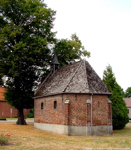 Sint-Catharinakapel (te Lillo) HOUTHALEN-HELCHTEREN / BELGI De barokke kapel bevat een dakruitertje met daarin een klok. Voor de kapel staan twee lindebomen.