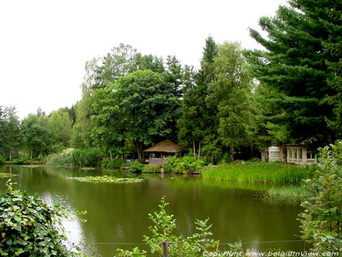 Petit Moulin OVERPELT photo 