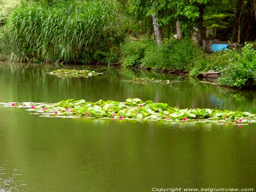 Petit Moulin OVERPELT photo 