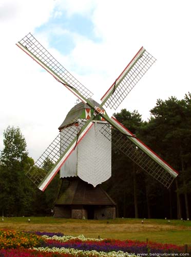 Moulin a vent de Sevens OVERPELT photo