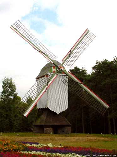 Moulin a vent de Sevens OVERPELT / BELGIQUE 