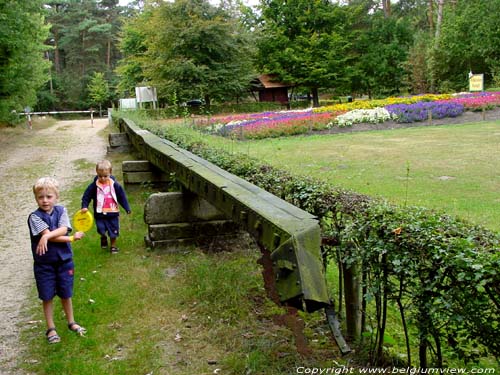 Moulin a vent de Sevens OVERPELT photo 