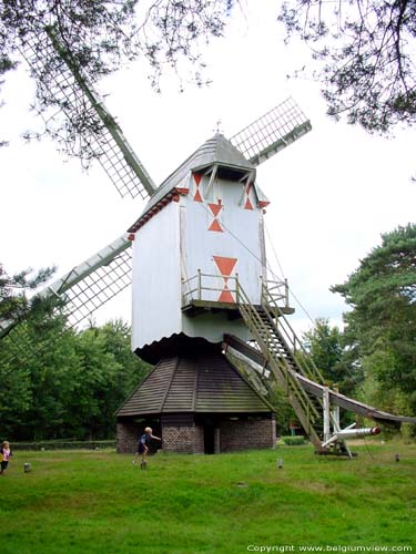 Moulin a vent de Sevens OVERPELT / BELGIQUE 