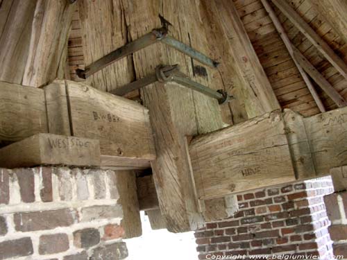 Windmolen van Sevens OVERPELT foto Molen op gemetste, bakstenen teerlingen.