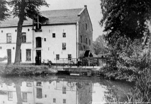 Bemvoortse molen OVERPELT foto 