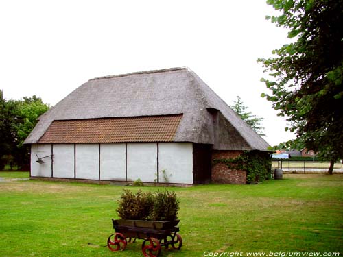 Large Farm LOMMEL / BELGIUM 