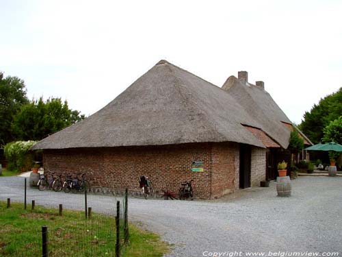 Grande Ferme LOMMEL photo 