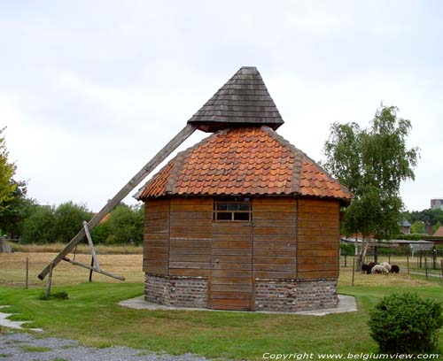 Groote Hoef LOMMEL / BELGI 