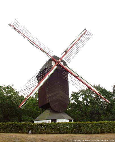 Moulin Taquinant, Moulin du forêt des chats LOMMEL photo