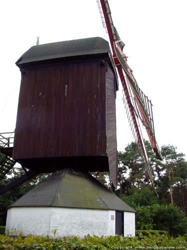 Treitermolen, Kattenbossermolen of Leyssensmolen LOMMEL / BELGI 