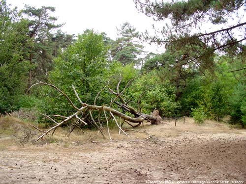 Mouw Haute KASTERLEE / BELGIQUE 