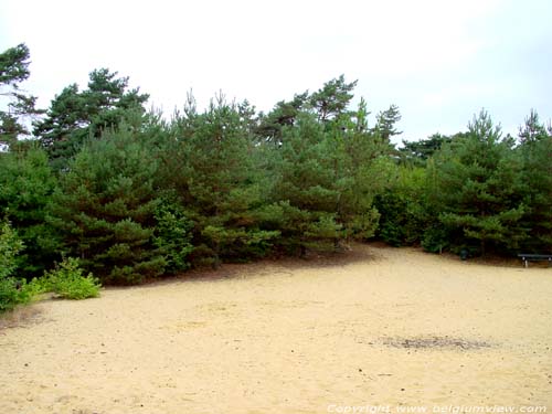 Mouw Haute KASTERLEE / BELGIQUE 