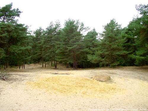 Mouw Haute KASTERLEE / BELGIQUE 