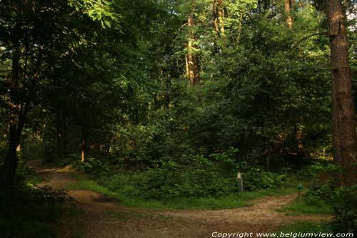 Mouw Haute KASTERLEE / BELGIQUE 