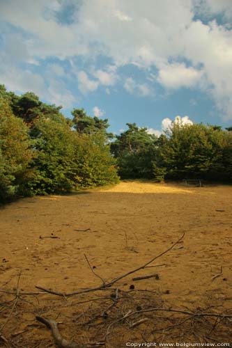 Mouw Haute KASTERLEE / BELGIQUE 