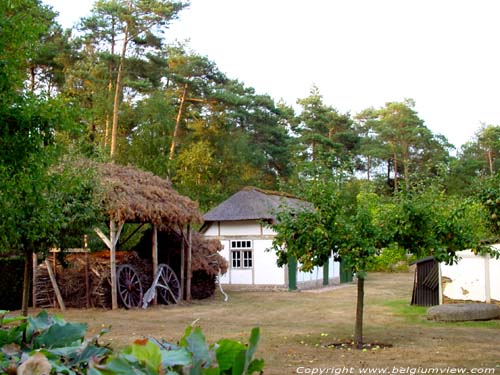 Ferme Waalberg KASTERLEE / BELGIQUE 