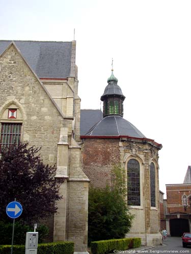 Onze-Lieve-Vrouwekerk DENDERMONDE / BELGI Koor
