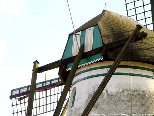 In Stormen Sterk molen LILLE / BELGI 