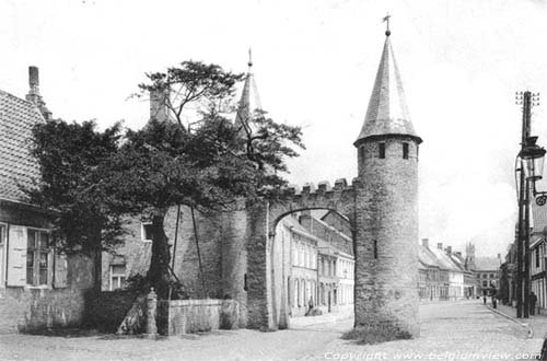 Arbre de Caesar LO-RENINGE photo 