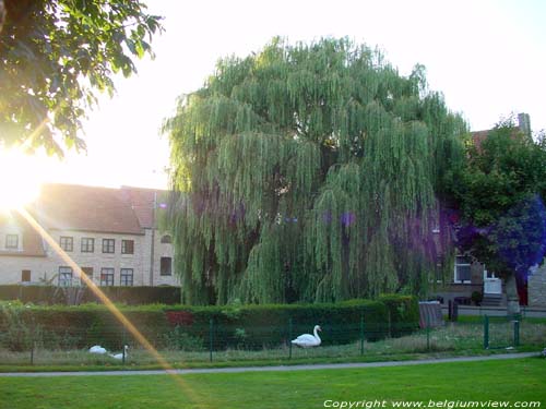 Put  Eau LO-RENINGE / BELGIQUE 