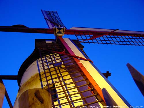 Witte Molen Roksem OUDENBURG foto 