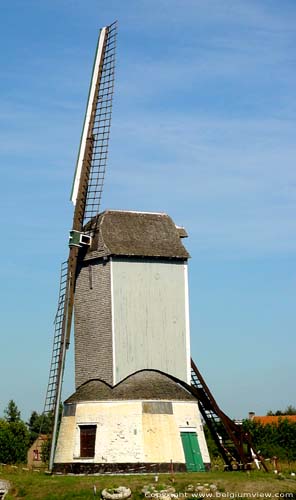 Oostmolen GISTEL foto 