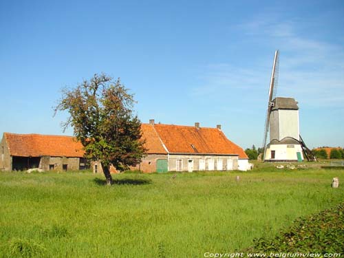 Oostmolen GISTEL foto 