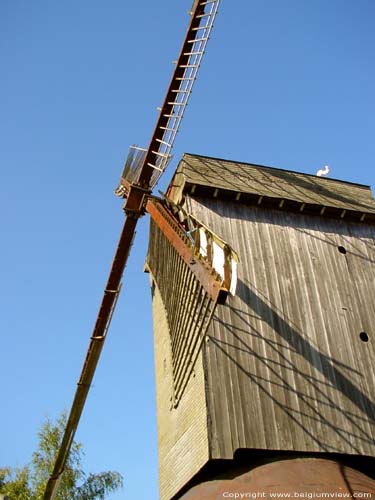 Koutermolen KORTEMARK / BELGI 