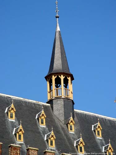 Stadhuis GERAARDSBERGEN foto Dakruiter en dakkapelletjes doorbreken het zadeldak.