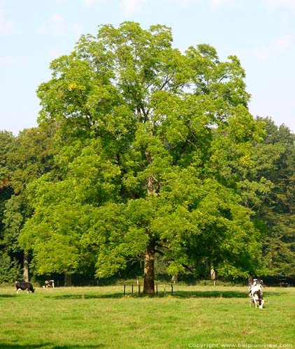 Domain Proviciale de Bulskamp BEERNEM / BELGIQUE 