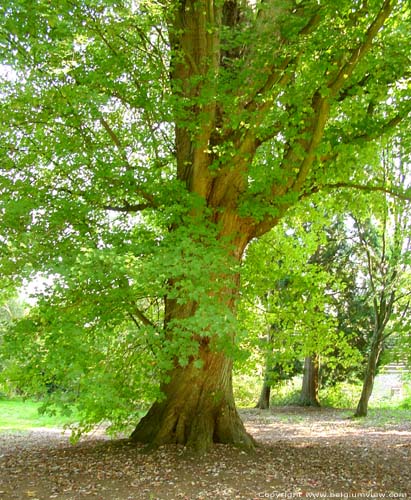 Domain Proviciale de Bulskamp BEERNEM / BELGIQUE 