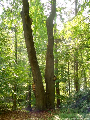 Domain Proviciale de Bulskamp BEERNEM / BELGIQUE 