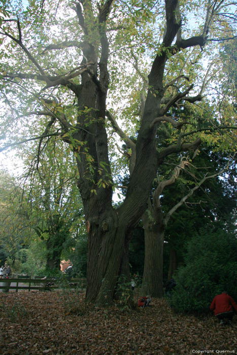 Domain Proviciale de Bulskamp BEERNEM / BELGIQUE 