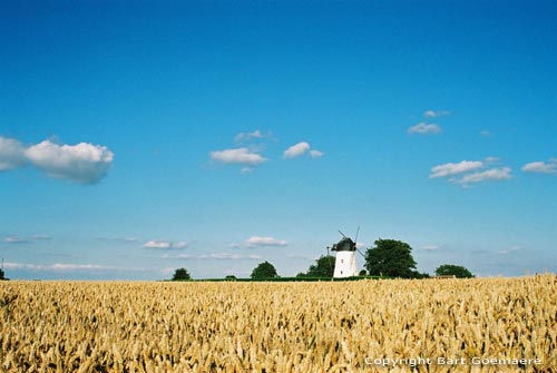 Hoogkoutermill HOREBEKE / BELGIUM 